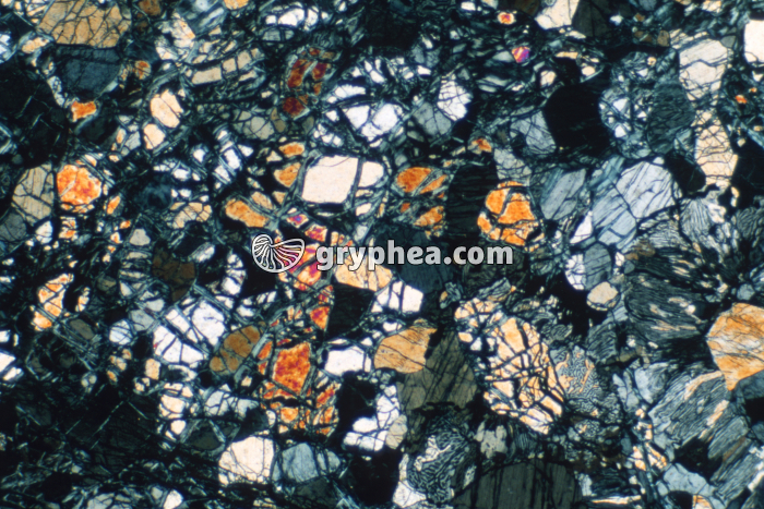 Pyroxénite serpentinisée LPA x10 - gryphea.com